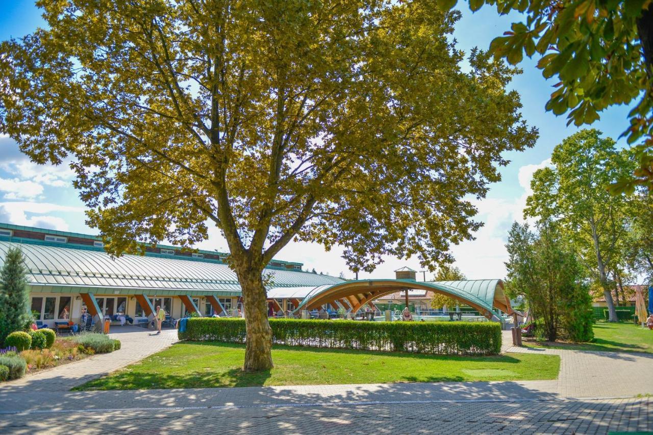 Harmonia Vendeghaz 100 Meterre Az Igali Gyogyfuerdotol 아파트 외부 사진