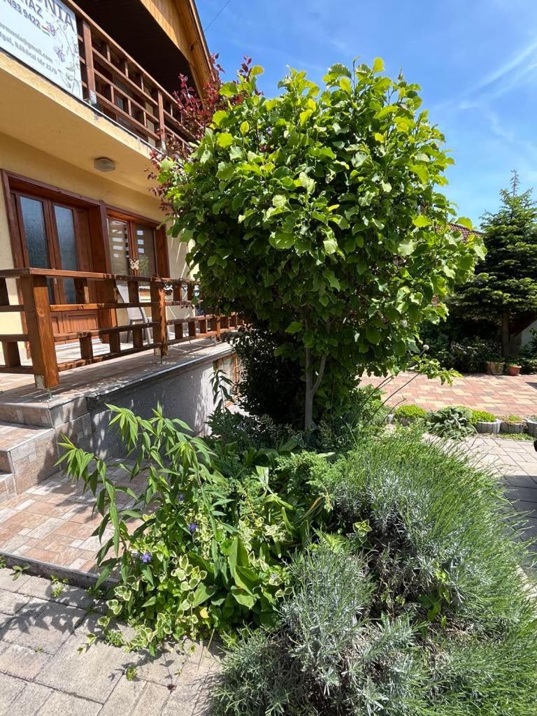 Harmonia Vendeghaz 100 Meterre Az Igali Gyogyfuerdotol 아파트 외부 사진